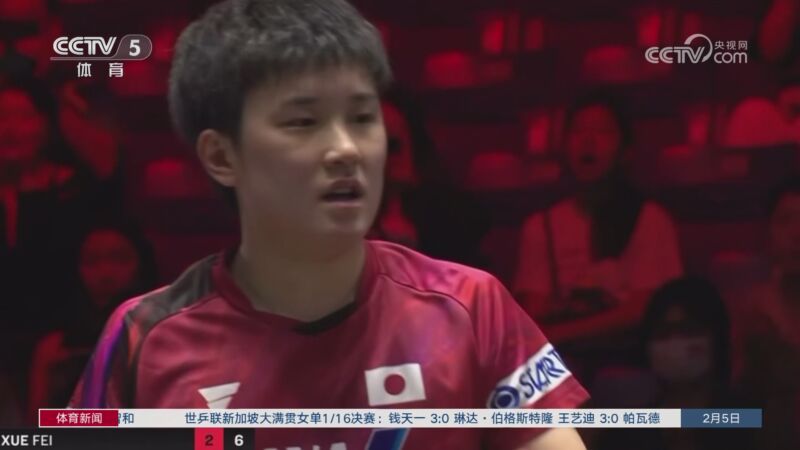 与马晓晴的